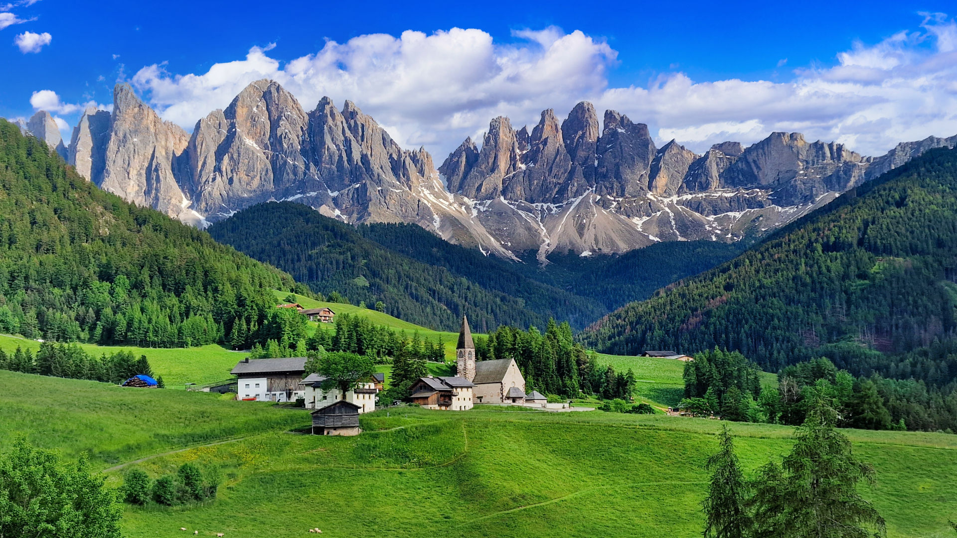 shutterstock_2454497..._imresizer