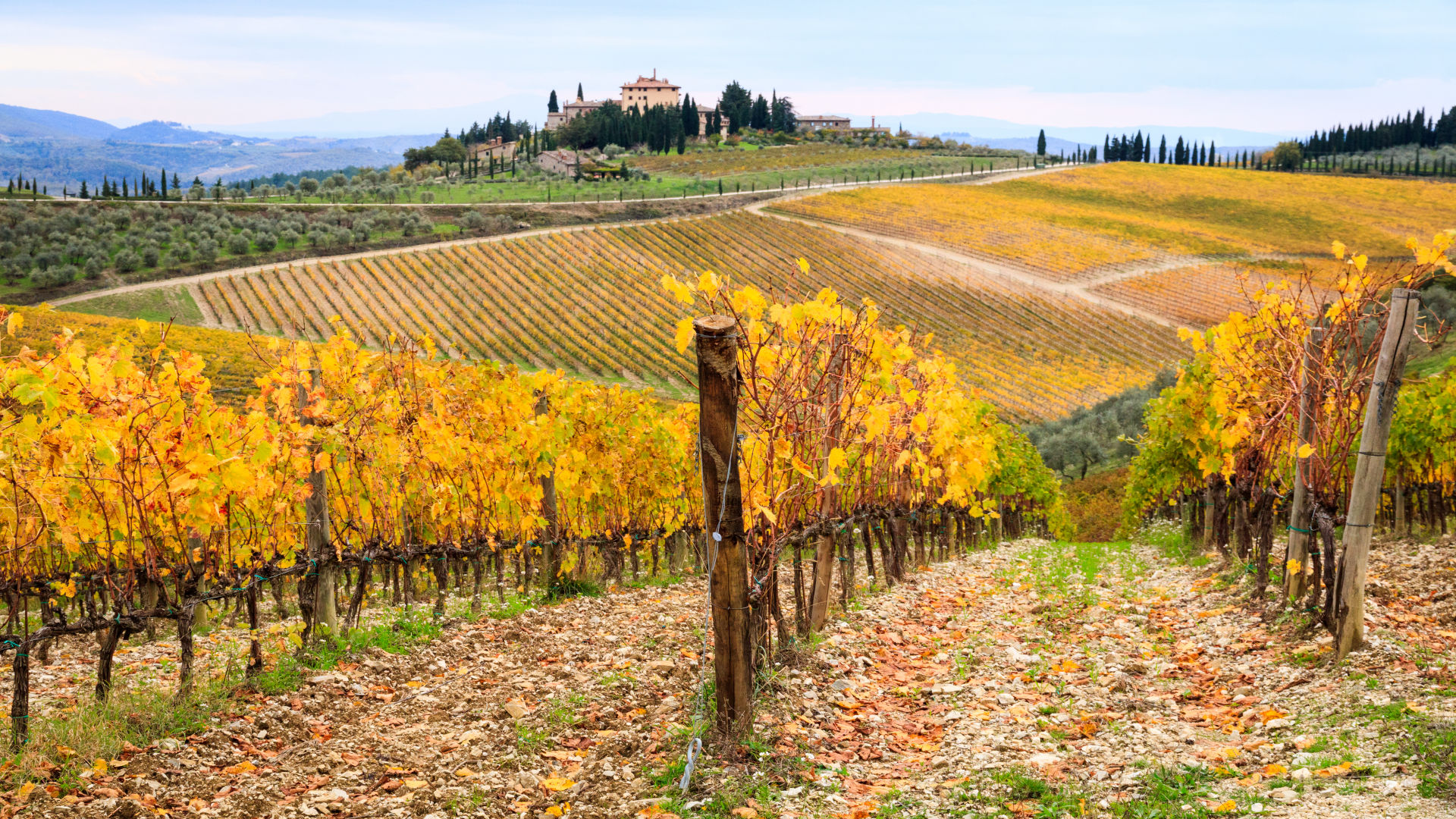 shutterstock_7403143..._imresizer